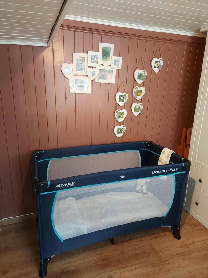 Appartement Voute En Gruyere Dans L'Intyamon Enney Екстер'єр фото